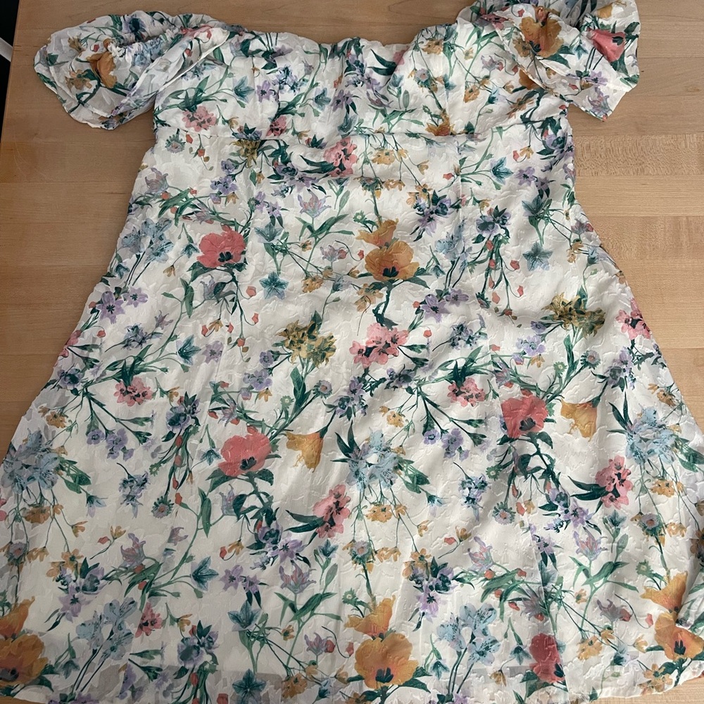 Wild Fable Floral Mini Dress with Ruffled off the shoulder Sleeves